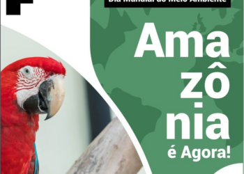 50 anos do Dia Mundial do Meio Ambiente tem vasta programação