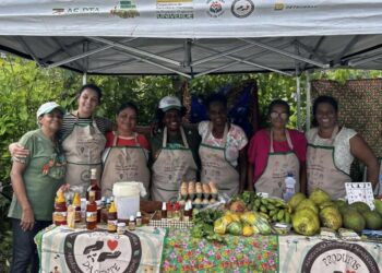 Colhendo Sustentabilidade: Projeto Hortas Orgânicas em Faixas de Dutos