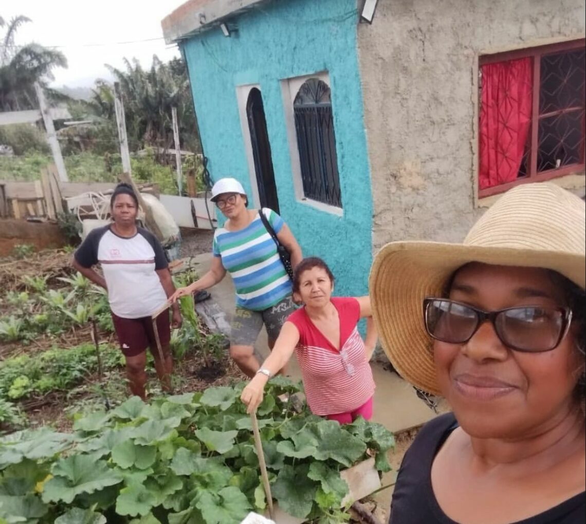 Coluna Favela Sustentável: Agroecologia Transforma o Morro do Sossego